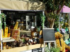 android_upload_pic-济州岛泰迪熊博物馆