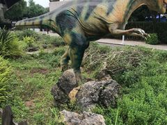 -自贡恐龙博物馆