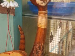 -猫小院猫主题咖啡厅(北锣店)