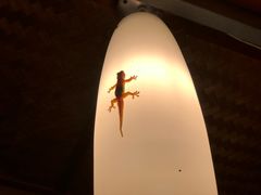 -Pakwan Restaurant & Bar