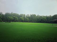 -合肥滨湖国家森林公园