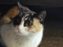 -便利蜂(广安门内大街319号店)