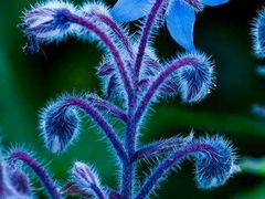 -水晶之星洗浴温泉汗蒸