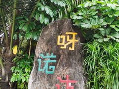 -呀诺达热带雨林