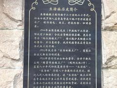 -生活林(河北路店)