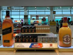 -英迪拉·甘地国际机场