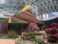 -花之城