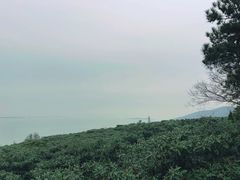 -东山风景区(洞庭东山)