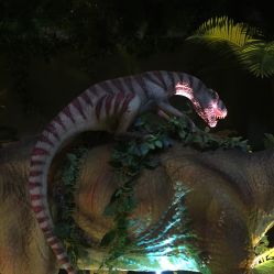 -恐龙探索乐园(磁器口店)