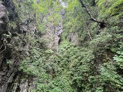 -塔云山