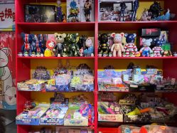 -Fang Fang Monkey·方方猴(国瑞购物中心店)