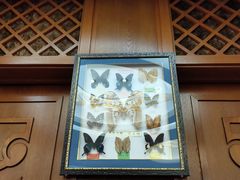 -诺敏塔拉奶茶-布里亚特包子-手把肉(锦都会店)