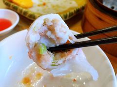 和乐水晶鲜虾饺-和乐喜点(宝岗大道店)