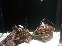 -暹罗海洋世界