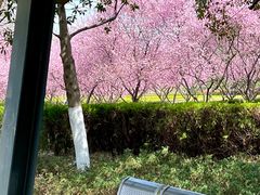 -白塘生态植物园