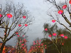 -大雁塔北广场音乐喷泉