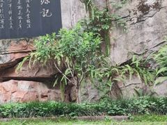 -桃花涧
