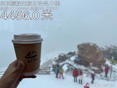 -莲宝叶则景区