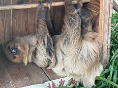 -乐和乐都主题乐园