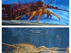 -徐记海鲜(大雁塔|金都店)