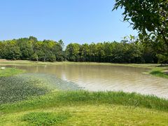 -上海海湾国家森林公园