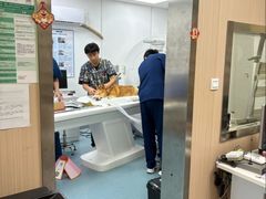 -康成宠物医院24H·CT·核磁共振