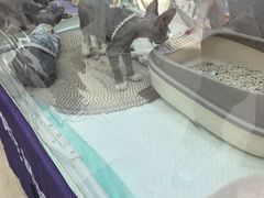 -鹏欣水游城