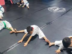 -金翼跆拳道巴西柔术拳击格斗学院