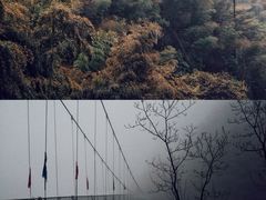 -藏龙百瀑风景区