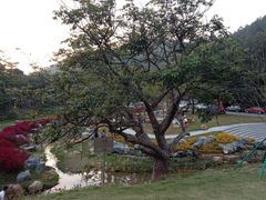 -黄埔油麻山森林公园