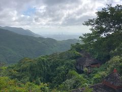 -三亚亚龙湾人间天堂鸟巢度假村