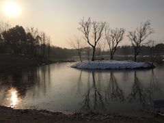 -尚贤河湿地