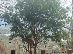 -天台山赤城山景区