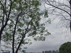 -顺峰山公园