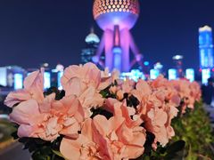 -西点坊(浦东香格里拉店)