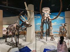 -国家自然博物馆