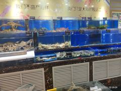 水产区-河马鲜生海鲜超市(风荷园店)