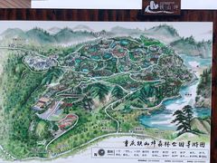 -铁山坪森林公园