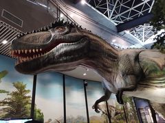 -湖南省地质博物馆