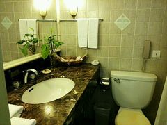 android_upload_pic-三亚亚龙湾金棕榈度假酒店