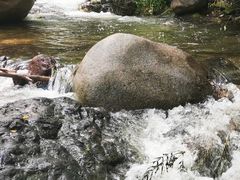 -云岫谷自然风景区