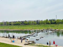 -洨河生态公园