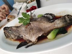 -顺峰(农展馆店)
