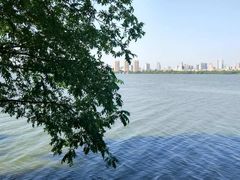 -艾溪湖湿地公园