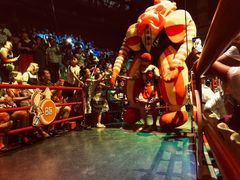 -俄罗斯国家大马戏团