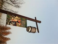 iphone_upload_pic-苏州太湖国家湿地公园