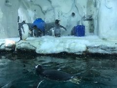 -南昌海洋公园