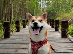 -桤木河湿地公园