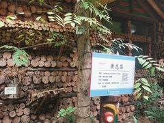 -呀路古热带植物园