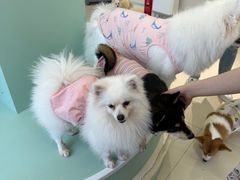 -怪兽屋·羊驼·猫咖·狗咖(俊华广场店)